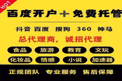 案例揭秘：SEM主管如何应对广告投放中的挑战